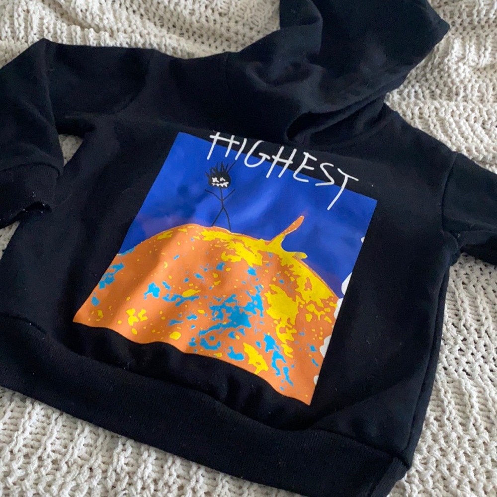 Cactus jack hoodie